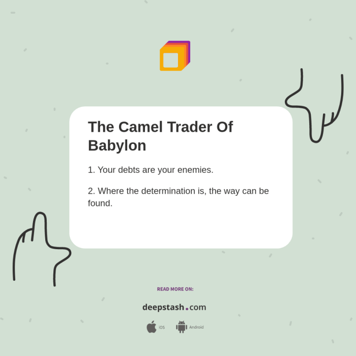 Trader babylon camel