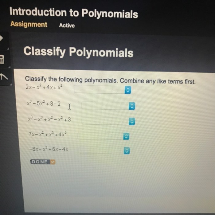 Polynomial polynomials naming functions complete zeihen