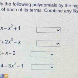 Polynomials classifying quizizz algebra