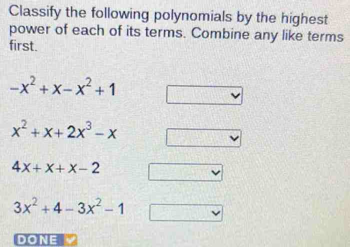 Polynomials classifying quizizz algebra